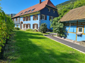 la maison bleue
